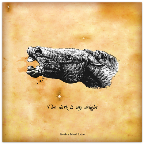 The dark is my delight - Monkey Island Radio